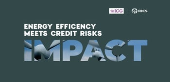 IMPACT - Energy Efficency meets Credit Risks