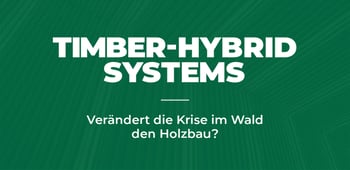 Verändert die Krise im Wald den Holzbau?