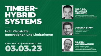 Holz Klebstoffe: Innovationen und Limitationen