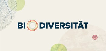 Biodiversität am Gebäude: Was ist konkret machbar?
