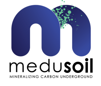MEDUSOIL