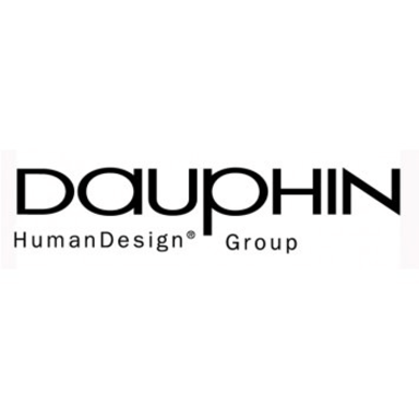 Dauphin HumanDesign Group