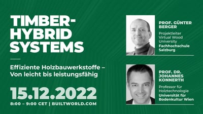 Effiziente Holzbauwerkstoffe – von leicht bis leistungsfähig