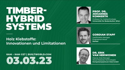 Holz Klebstoffe: Innovationen und Limitationen