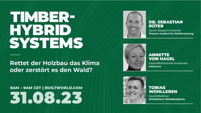 Rettet der Holzbau das Klima oder zerstört es den Wald?