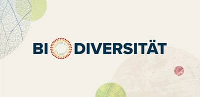 Biodiversität am Gebäude: Was ist konkret machbar?