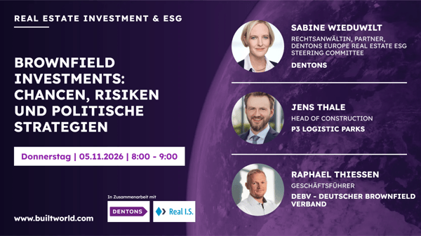 Brownfield Investments: Chancen, Risiken und politische Strategien