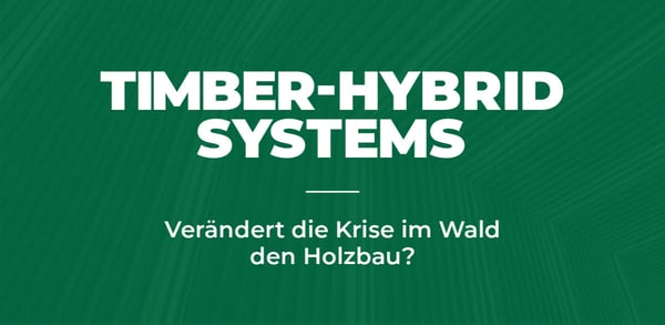 Verändert die Krise im Wald den Holzbau?